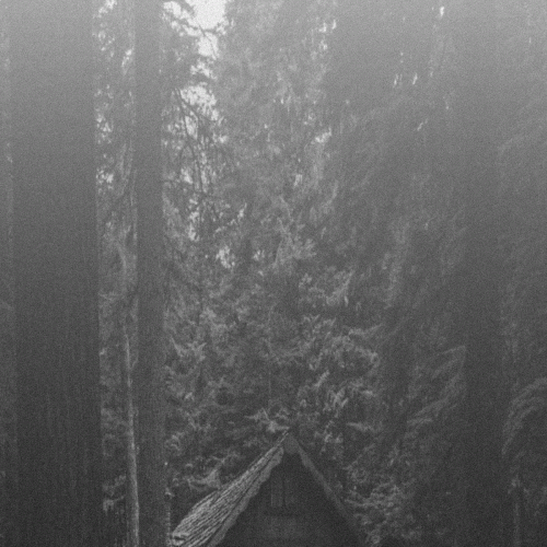 Vintlechkeit : Voivotus - Vintlechkeit